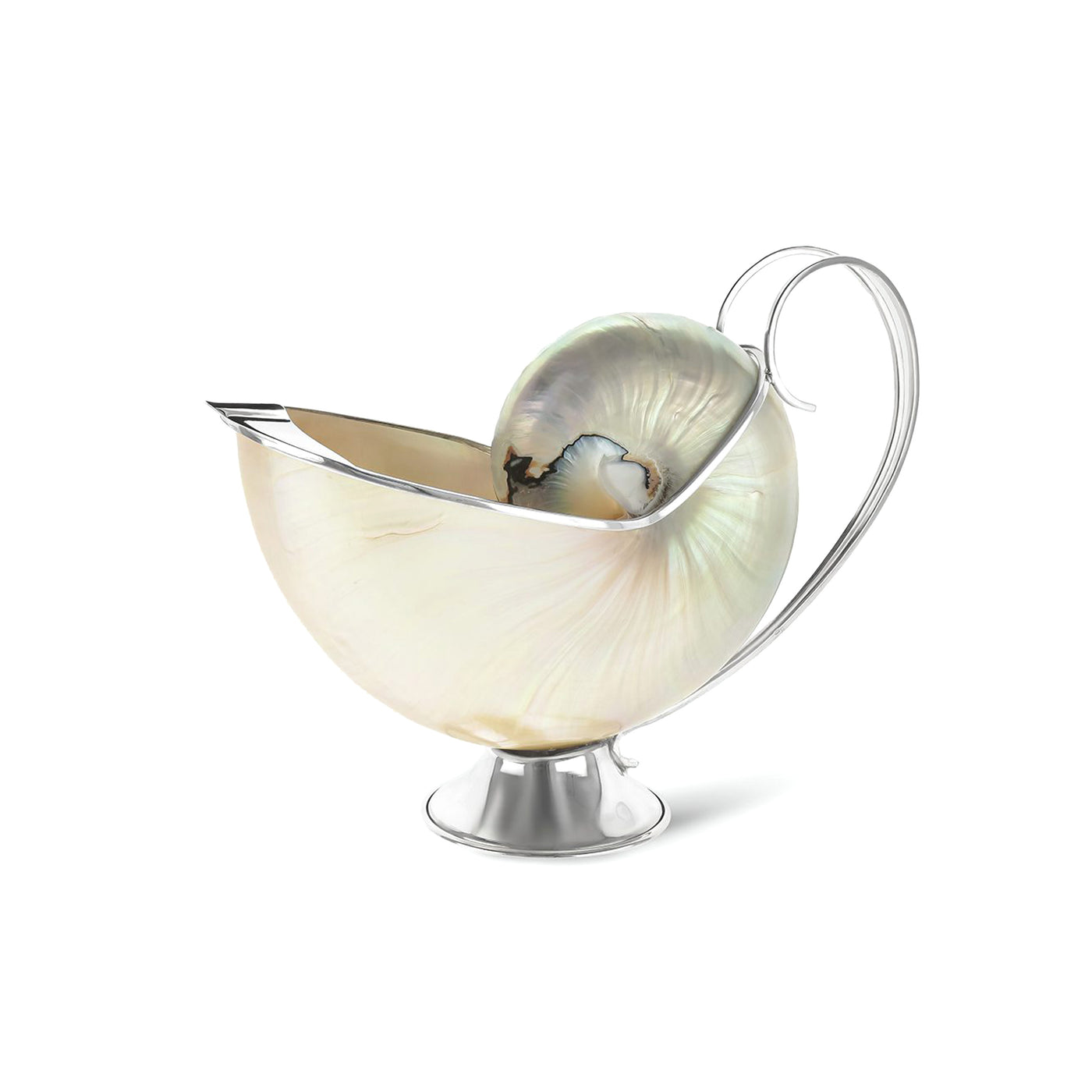 Nautilus Shell Gravy Boat