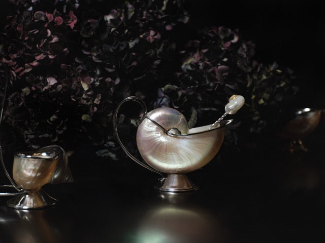 Turbo Shell Ladle Spoon