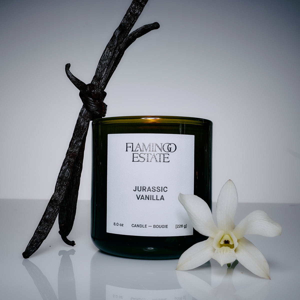 Jurassic Vanilla Candle 8oz