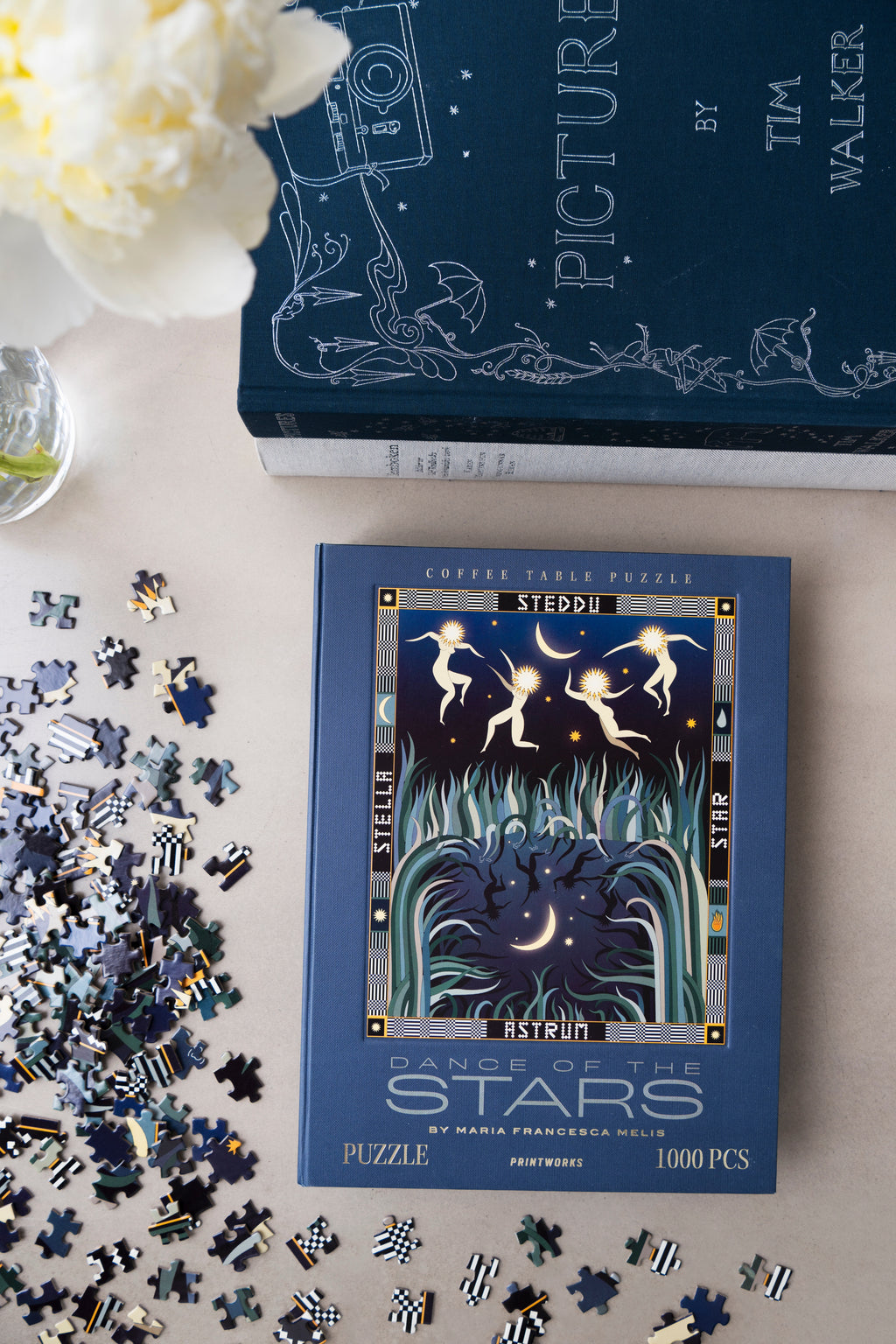 Dance of the Stars Puzzle
