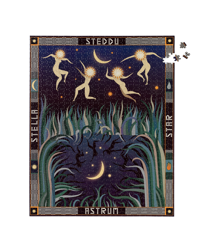 Dance of the Stars Puzzle