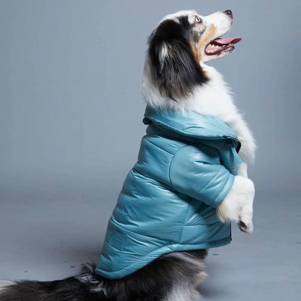 Glossy Dog Puffer Jacket