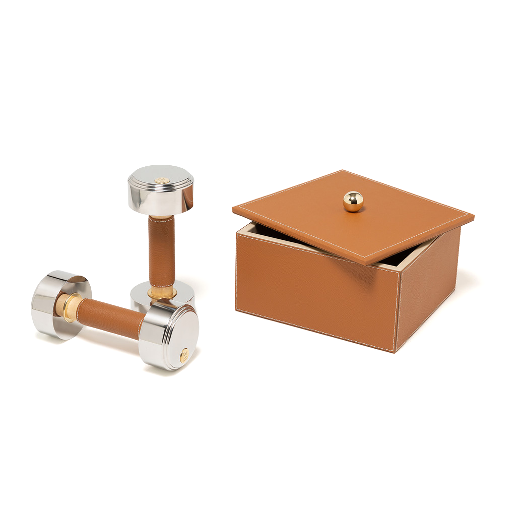 Dumbbell House Set 2KG