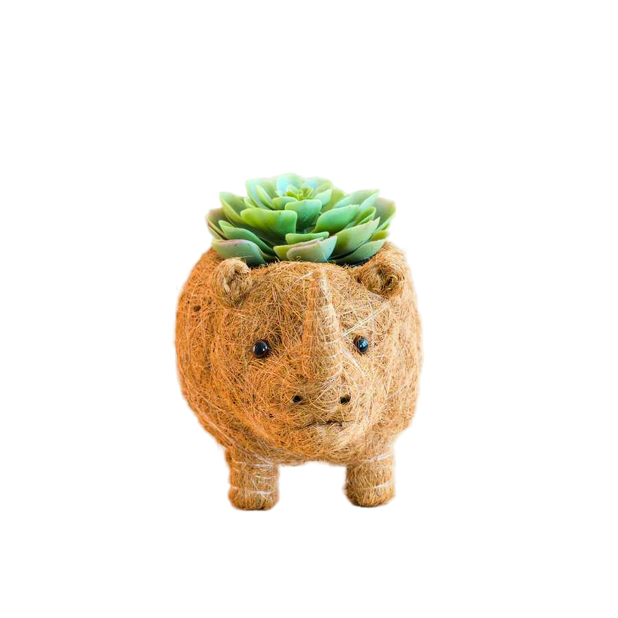 Handcrafted Rhino Animal Planter