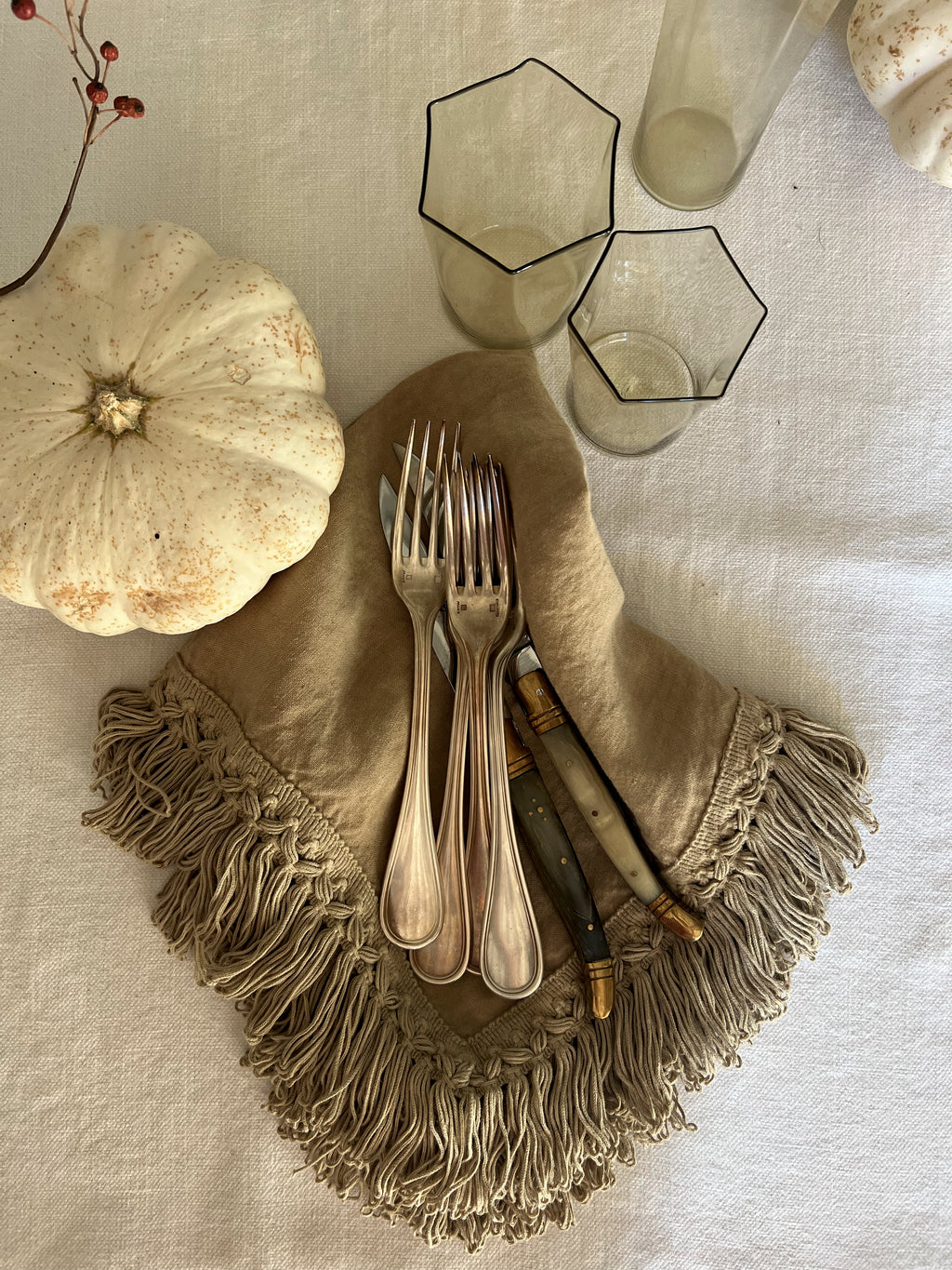 Napkin With Long Fringe